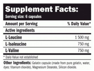 AMIX BCAA Elite Rate - 500 caps