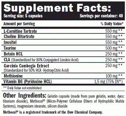 AMIX Lipotropic Fat Burner - 200 caps