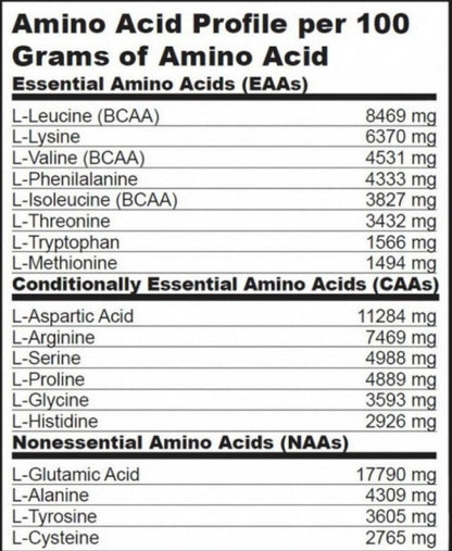 BIOTECH USA Mega Amino 3200 - 500 tab