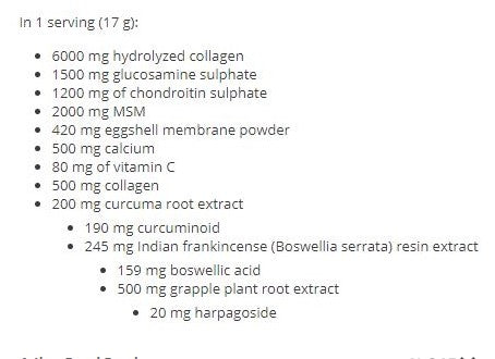 BIOTECH USA Arthro Guard Powder - 340 gr