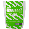 FA Nutrition Xtreme BCAA 5000 - 800 gr