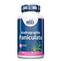 HAYA LABS Andrographis Paniculata - 60 caps