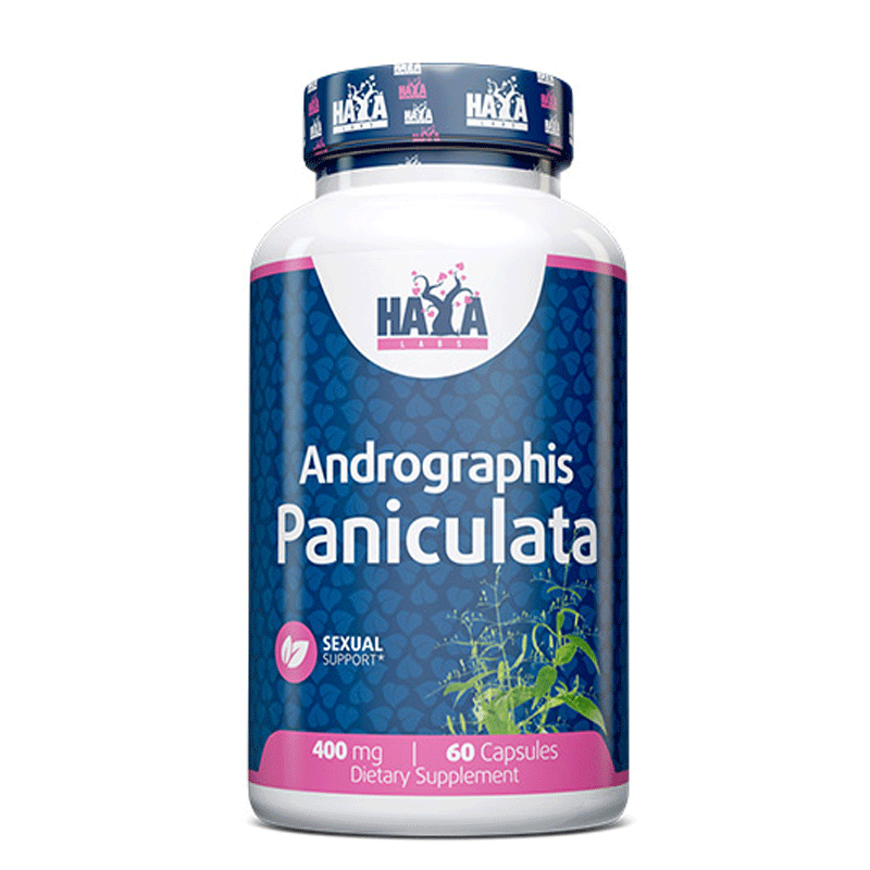 HAYA LABS Andrographis Paniculata - 60 caps