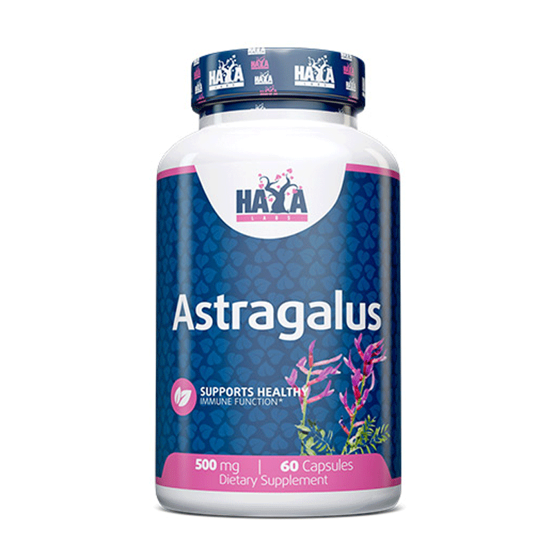 HAYA LABS Astragalus 500 mg - 60 caps