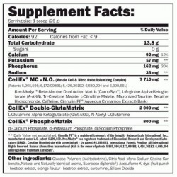 AMIX CellEx ® Unlimited Powder - 1040 gr + Shaker
