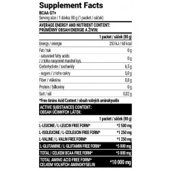 EXTRIFIT Bcaa GT+ - 80 gr