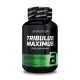 BIOTECH USA Tribulus Maximus - 90 tab