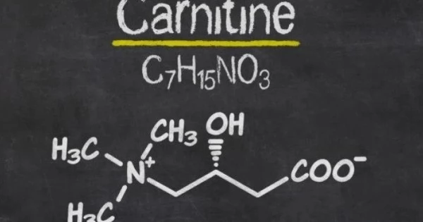 l-carnitine      L -   1000  * 60 GNC (TOTAL LEAN L Support fat metabolism  10   -,