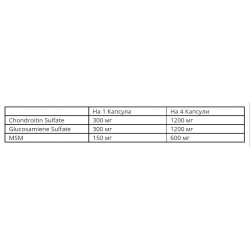 WEIDER Glucosamine Chondroitin Plus MSM - 120 caps