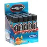 Z-KONZEPT Magnesium + B6 Shots - 20 x 25 ml